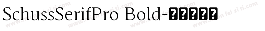 SchussSerifPro Bold字体转换